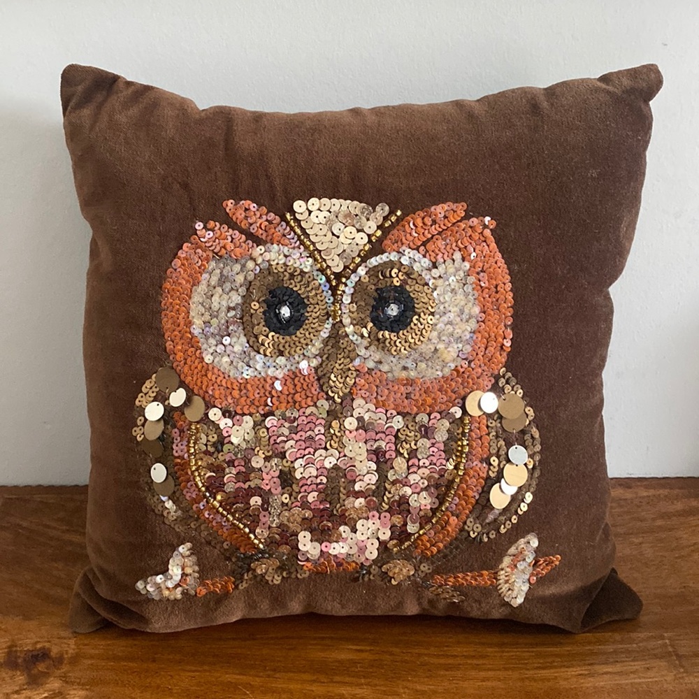 NEW. Pier 1 Pillow with Owl. 🦉 - Picture 2 of 16